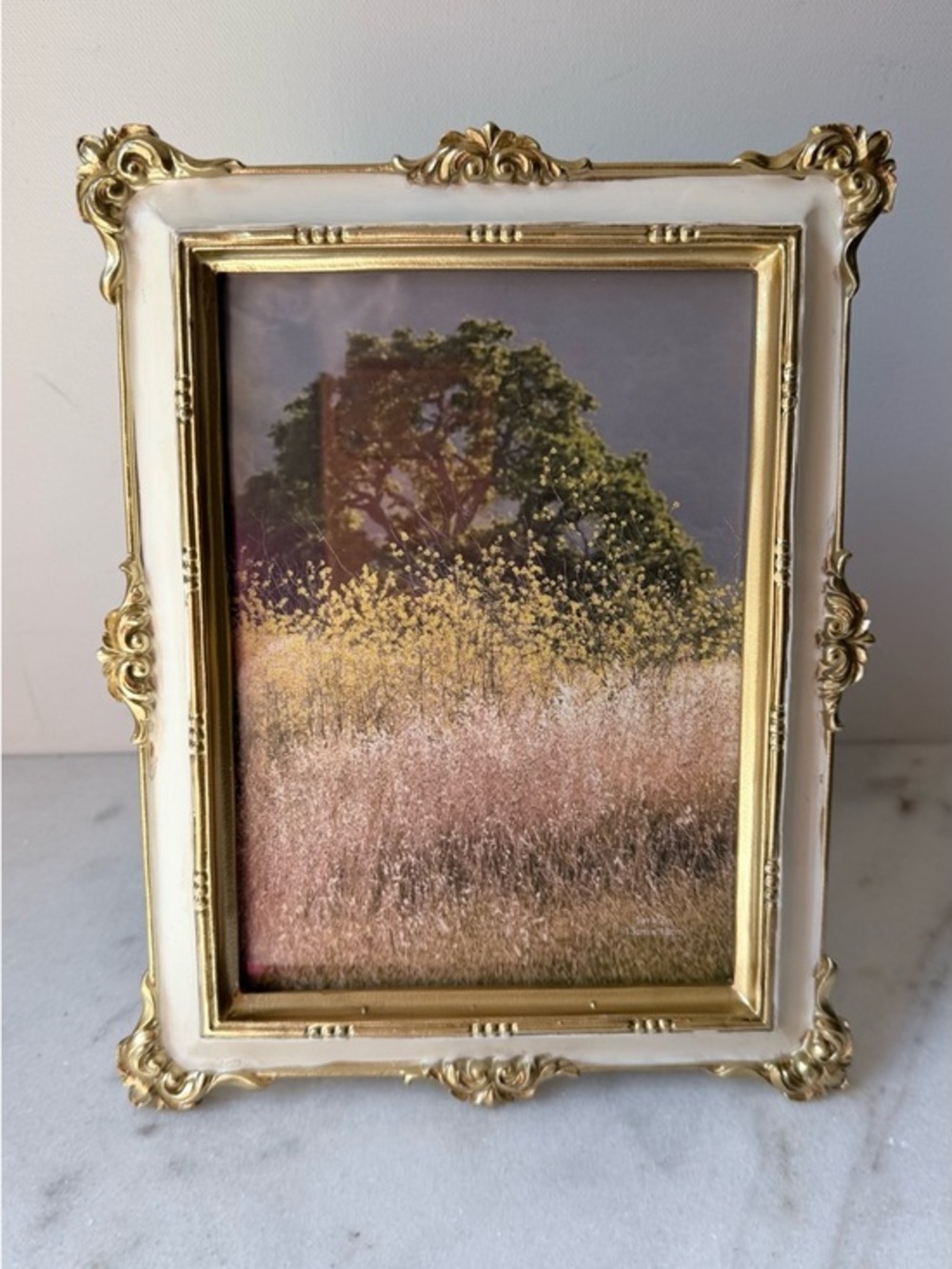 Vintage-Style Gold and Cream Ornate Photo Frame - Home Accents